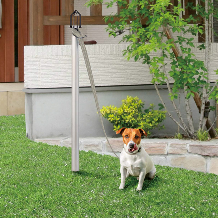 カテゴリーペット